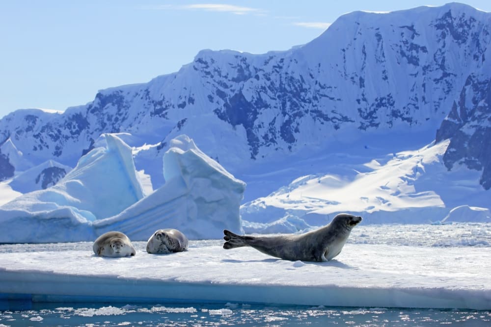 A Journey to the End of Planet Earth ~ Antarctica